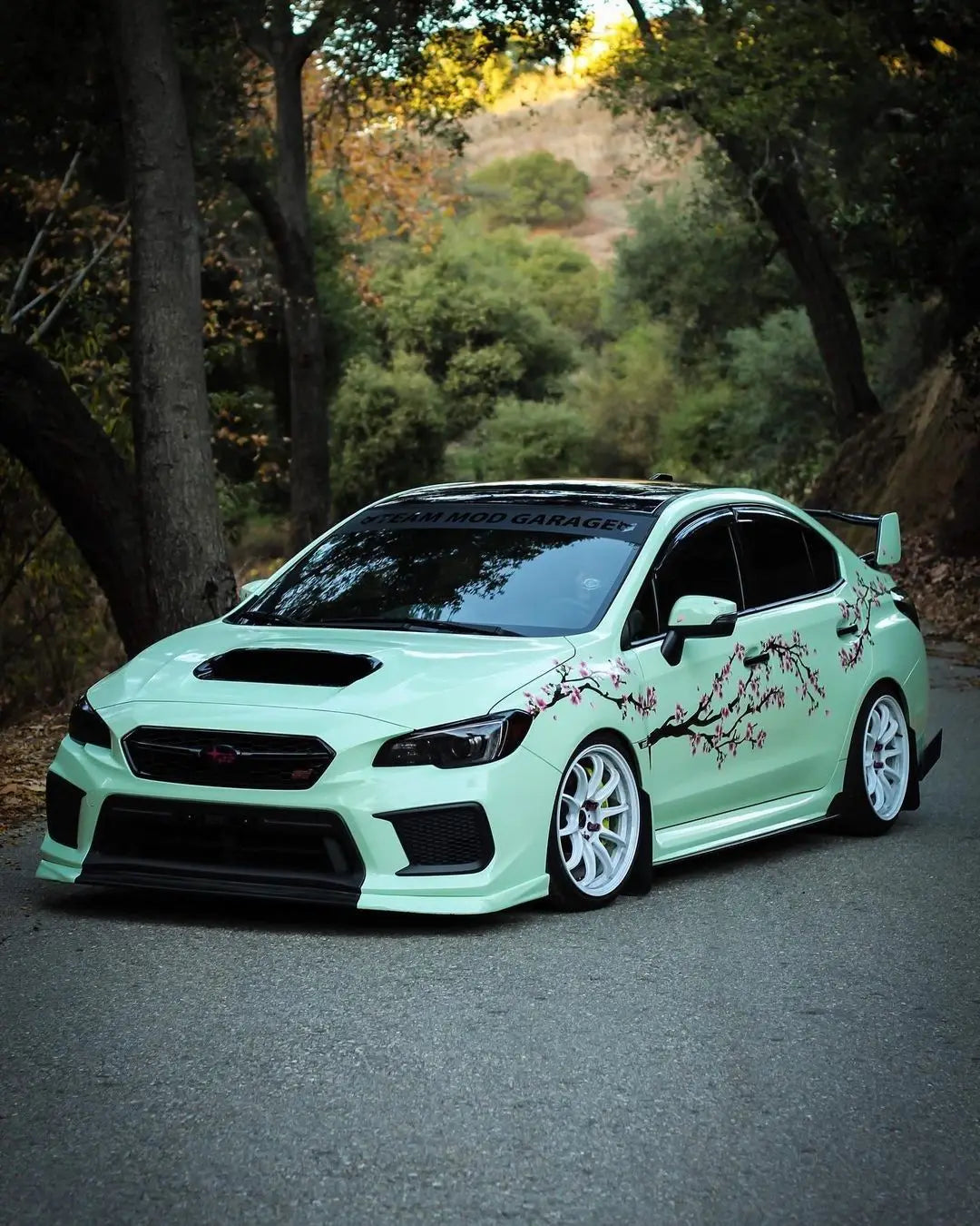 ๐ธ๐ Sakura SpeedWorks Cherry Blossom Decal Set โ Bloom With Every Drive ๐ธ๐จ