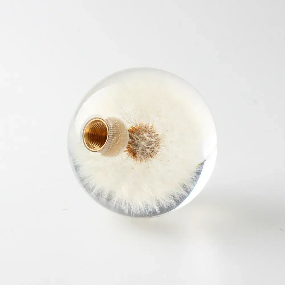 🌬️🌼 Dandelion Dream Shift Knob – Drive With Intention ✨🛞