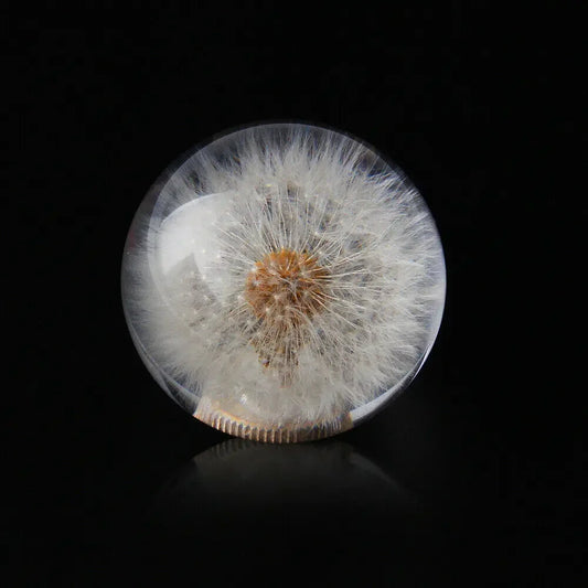 🌬️🌼 Dandelion Dream Shift Knob – Drive With Intention ✨🛞